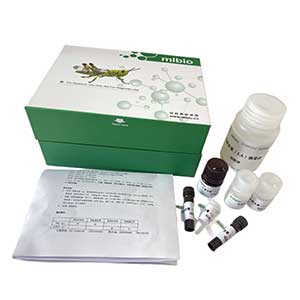 淀粉分支酶(SBE)測試盒/分光光度法主圖